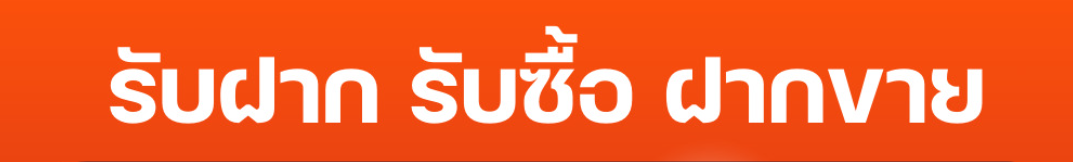 cover-image